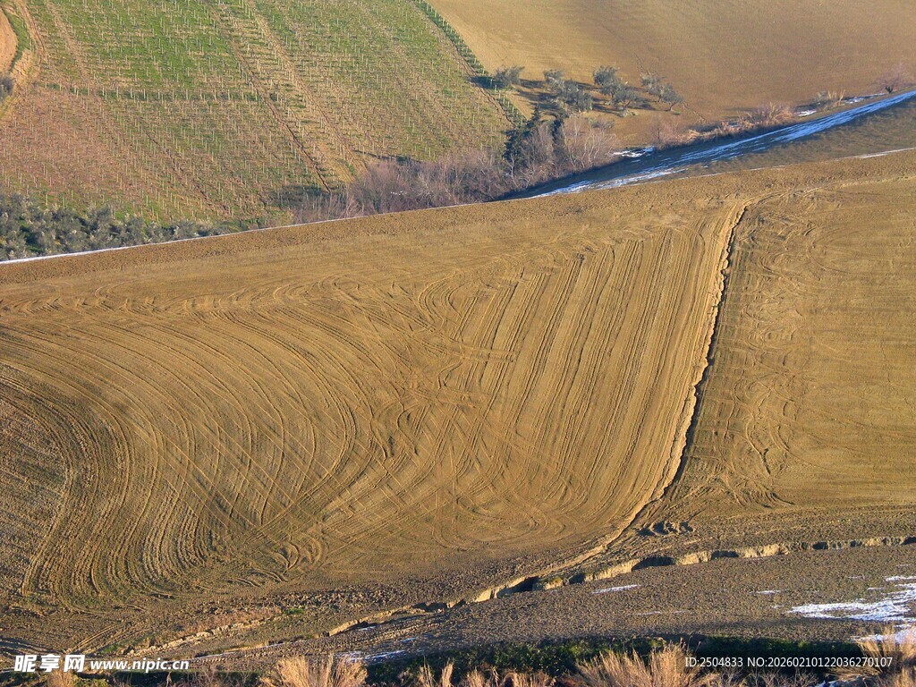 秋日广袤田野风光