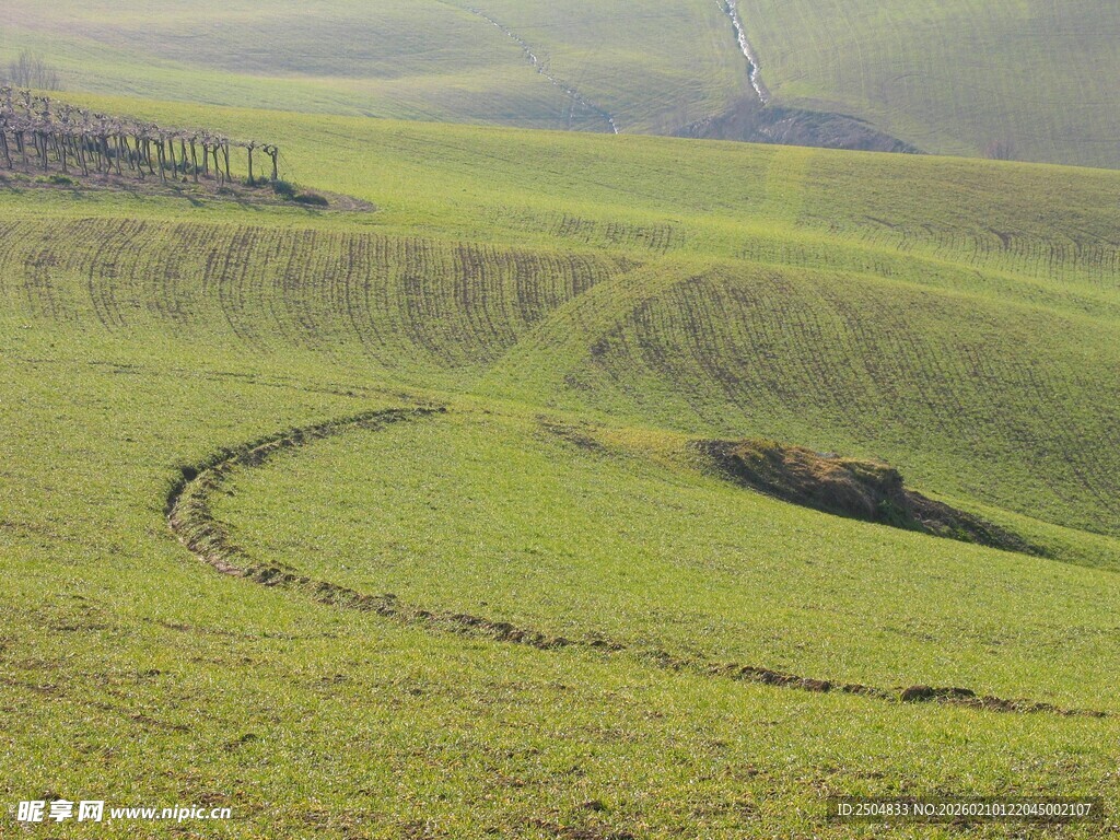 广袤绿野间的蜿蜒路径