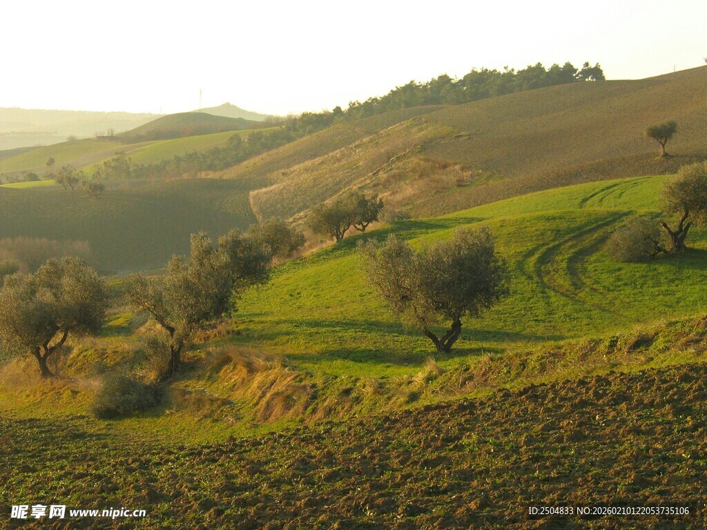 田园风光中的宁静乡村景色