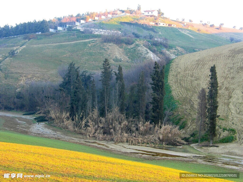 田园风光中的多彩景致