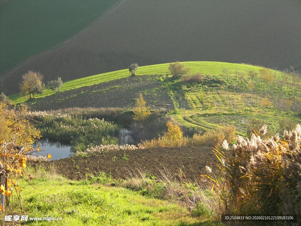 田园风光中的宁静乡村景色
