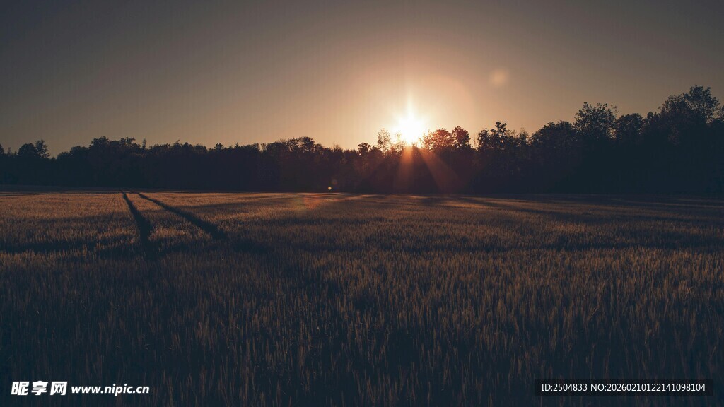 夕阳下的广袤田野