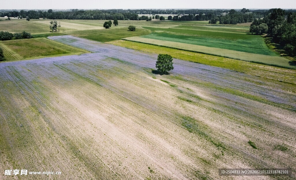 田野中的农机作业场景