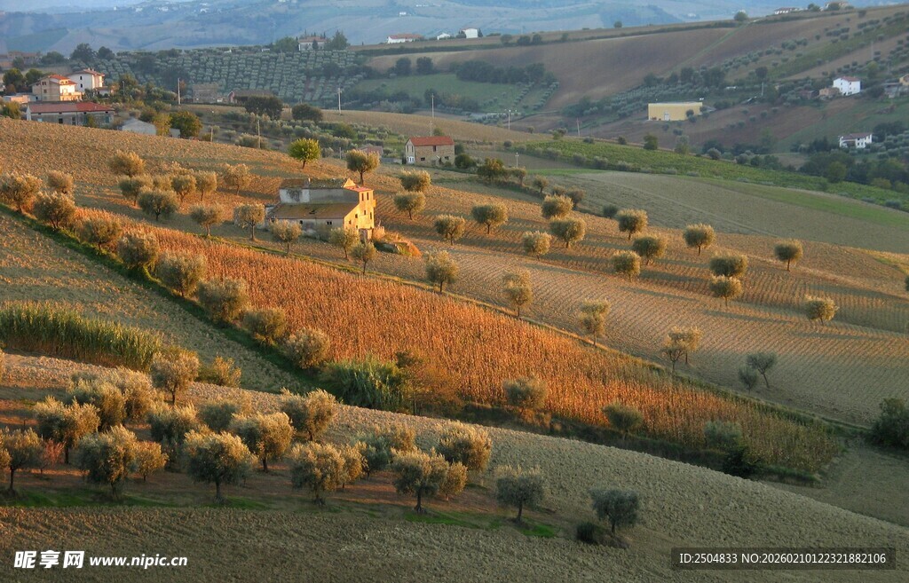 秋日田野风光美景