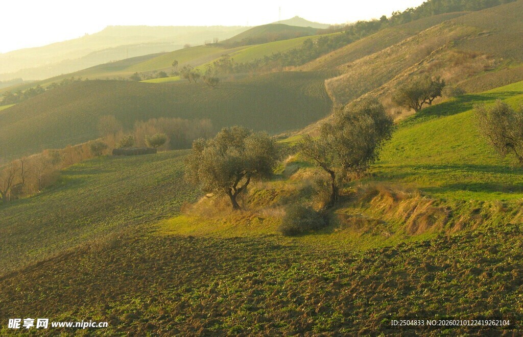 田园风光 阳光照耀的山丘