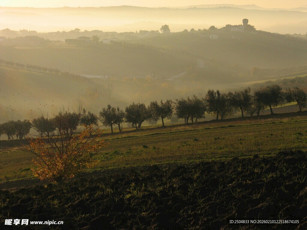 晨雾中的田园风光
