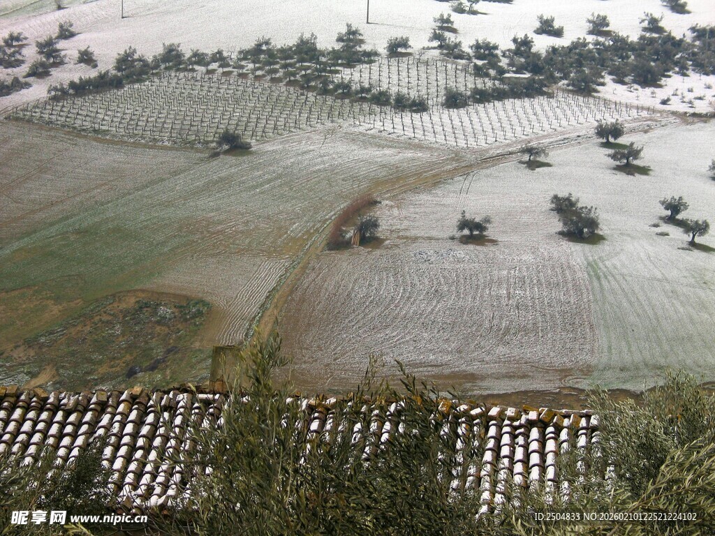 冬日田野航拍景象