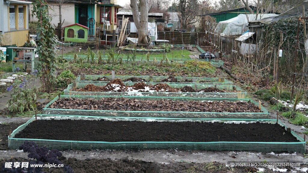 庭院中的规整小菜园