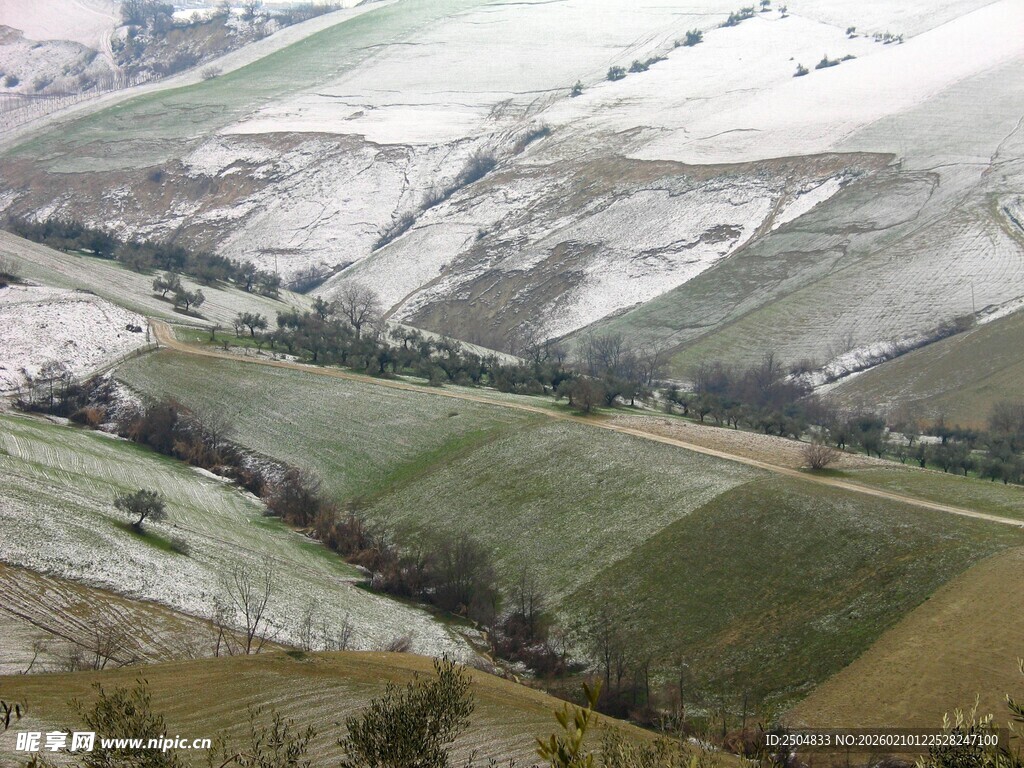 冬日雪覆田野景观