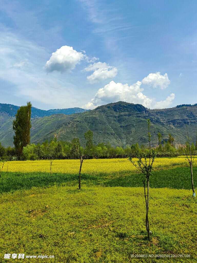 田园绿野间的美丽风光