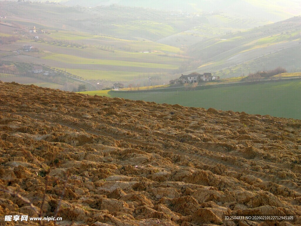 田野风光 远处黄绿相间景色