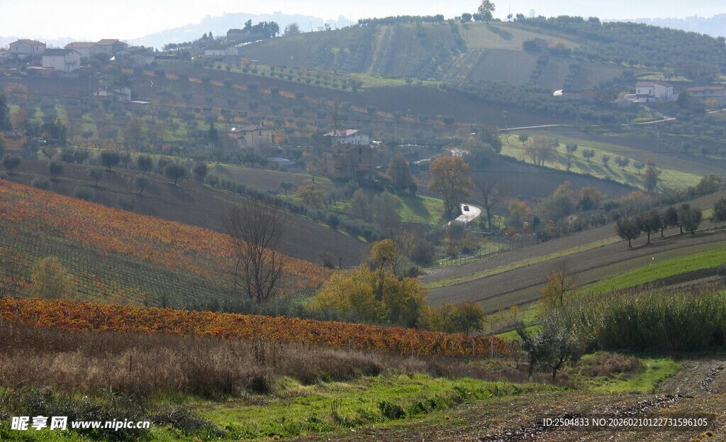 秋日多彩田园风光