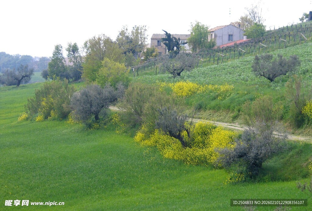 春日绿野乡间风景