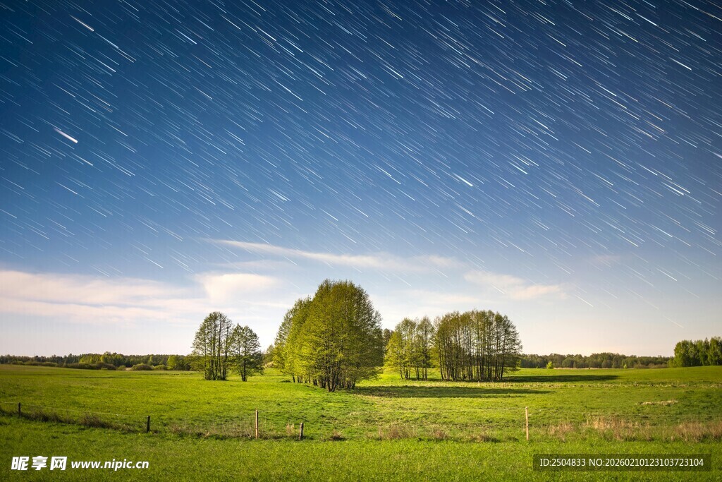 草原夜空下的静谧树林