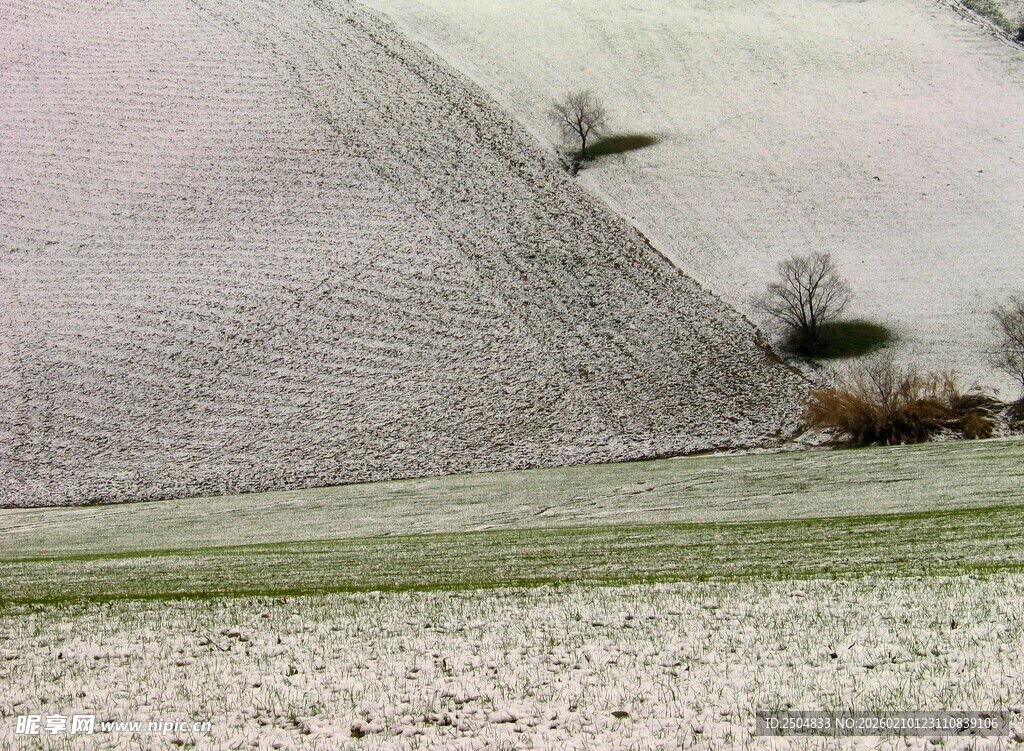 冬日田野雪景