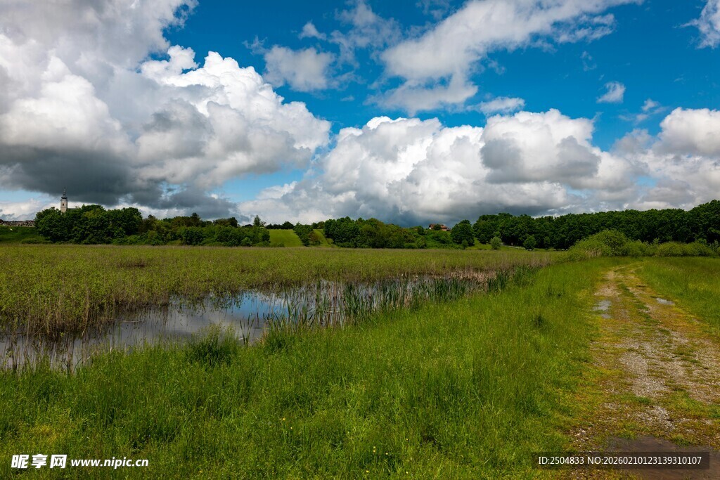 田园湿地风光 绿意盎然