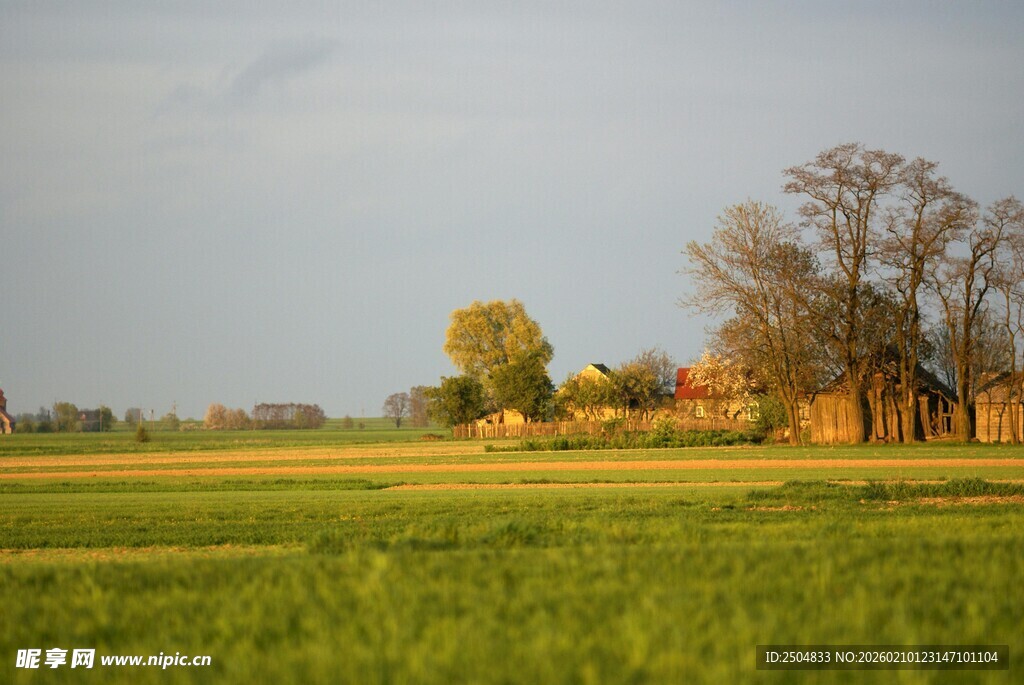田野风光中的静谧小屋
