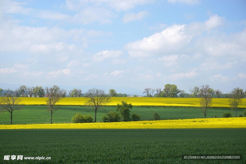 春日田野风光美景