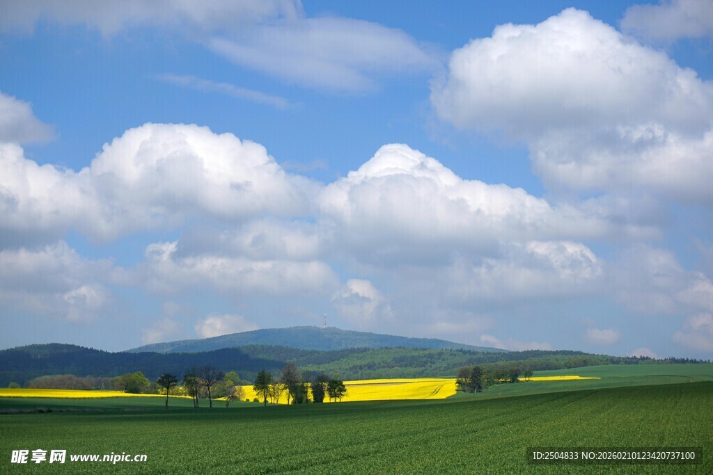 田园风光 蓝天白云下的美景