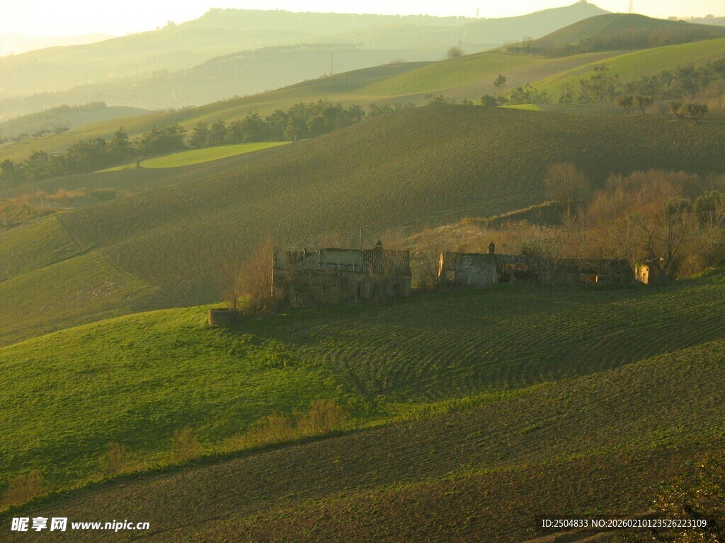 田园风光中的静谧乡村