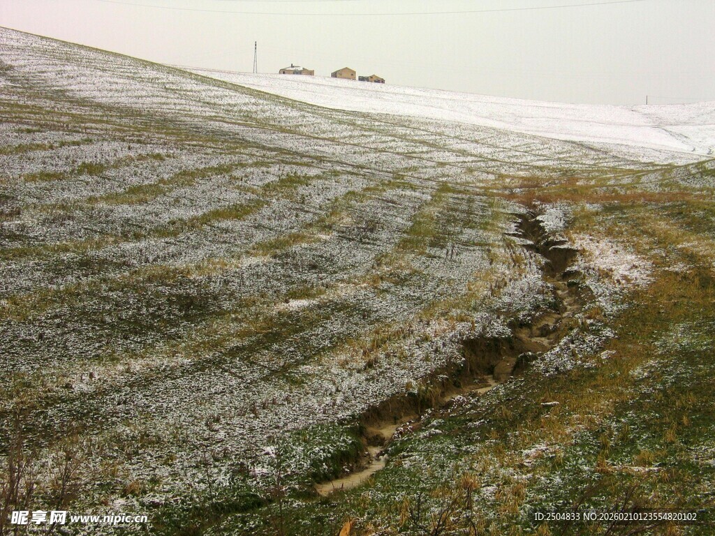 冬日旷野中的蜿蜒小径