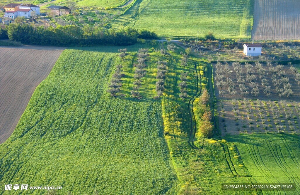 俯瞰翠绿农田景观