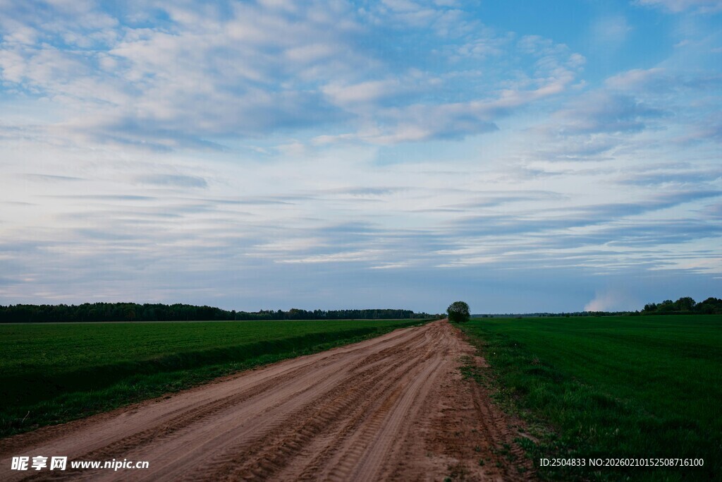 乡间土路 广袤绿野蓝天