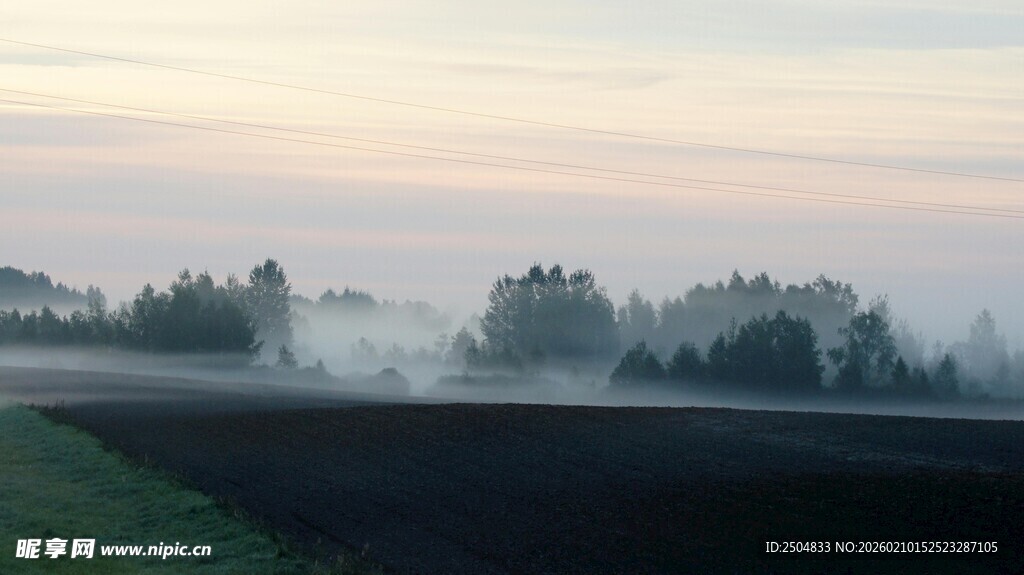 晨雾中的田野与树林