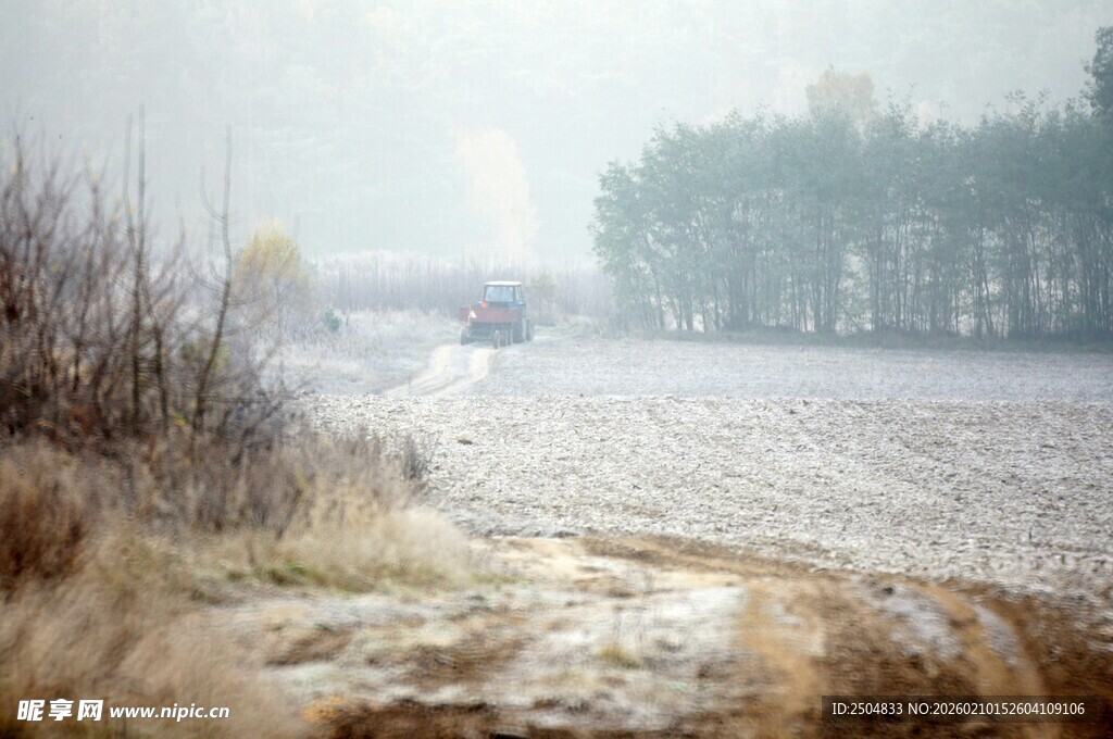 雾中乡村土路景象