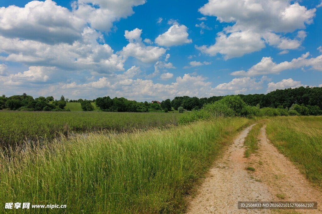 乡间土路 绿野蓝天美景