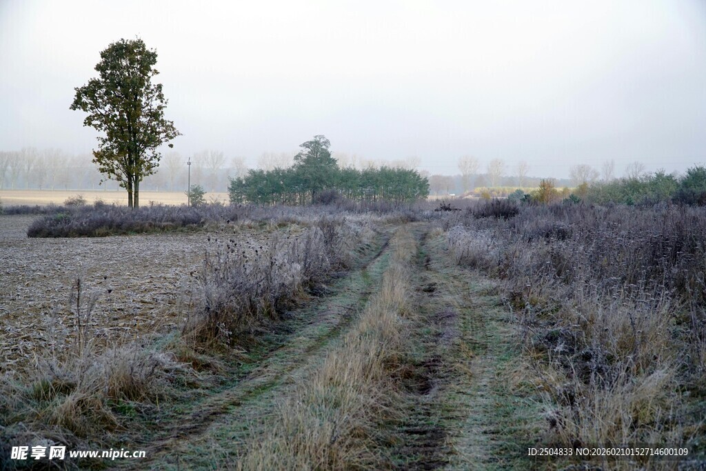 田野中的孤寂小道