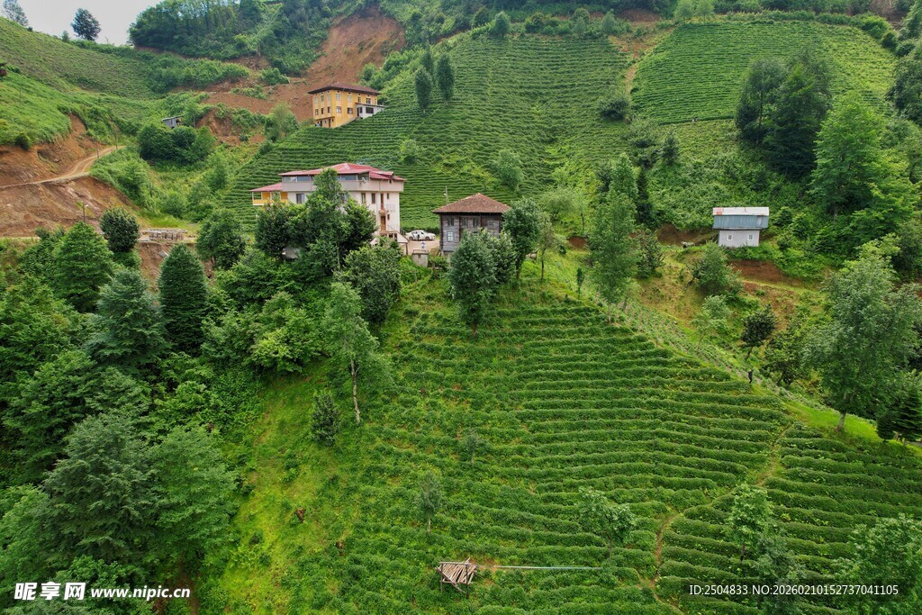 山间村落绿意盎然