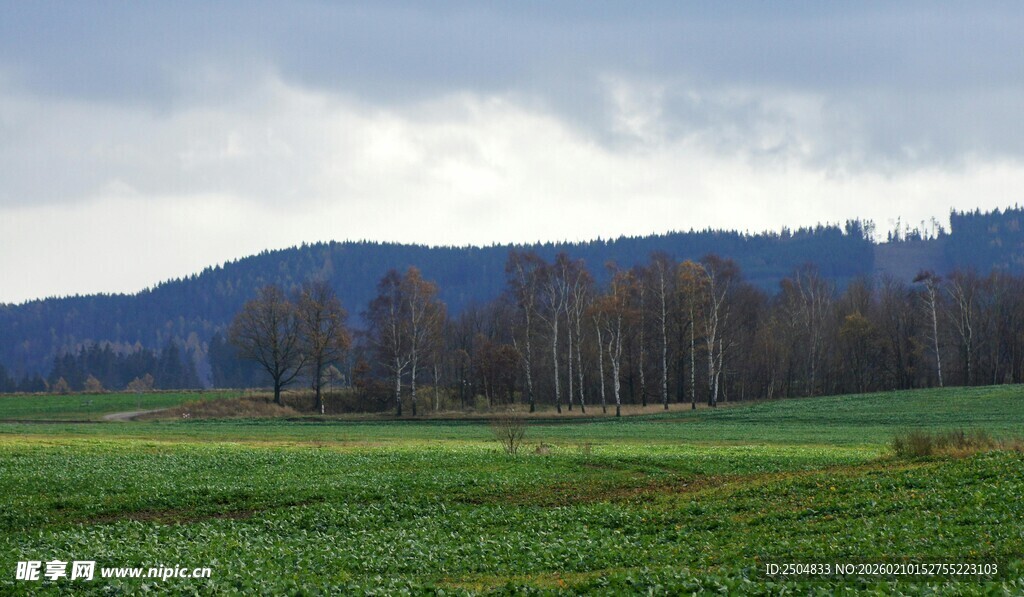 田野山林间的美丽风光