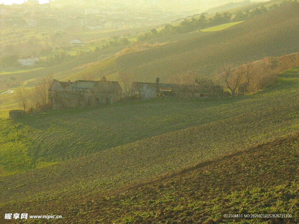 田园风光中的静谧农舍