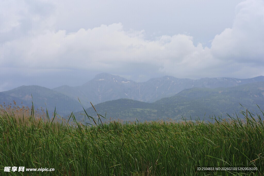 山间绿野 云雾缭绕之景