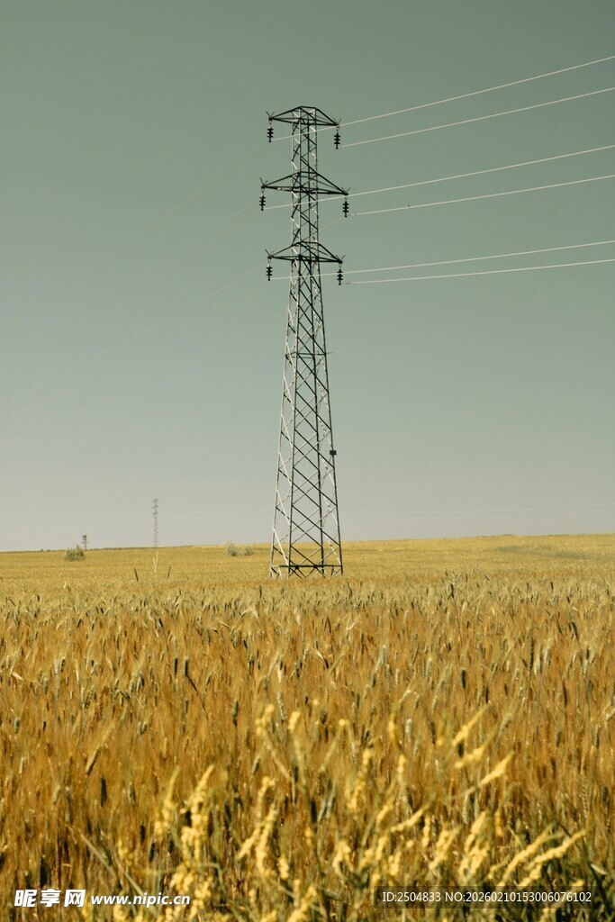 田野中的高压输电塔