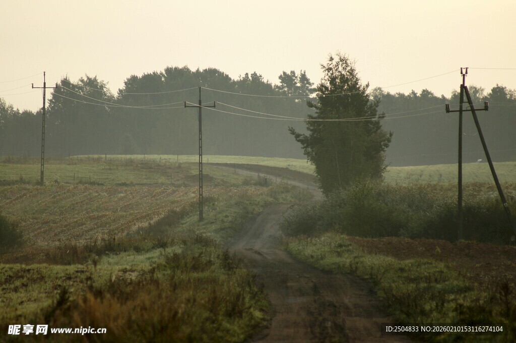 晨雾中的乡村田野小道