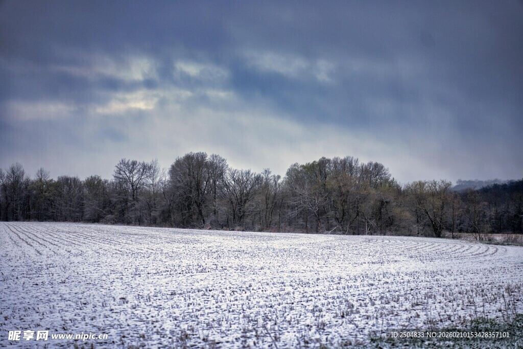 雪覆田野与树林的冬日景