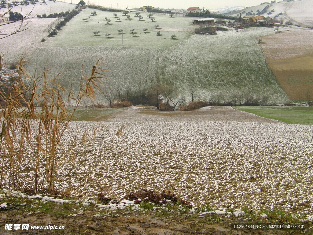 冬日旷野雪景