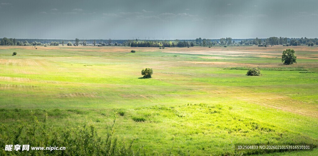 广袤绿野中的宁静田园风光