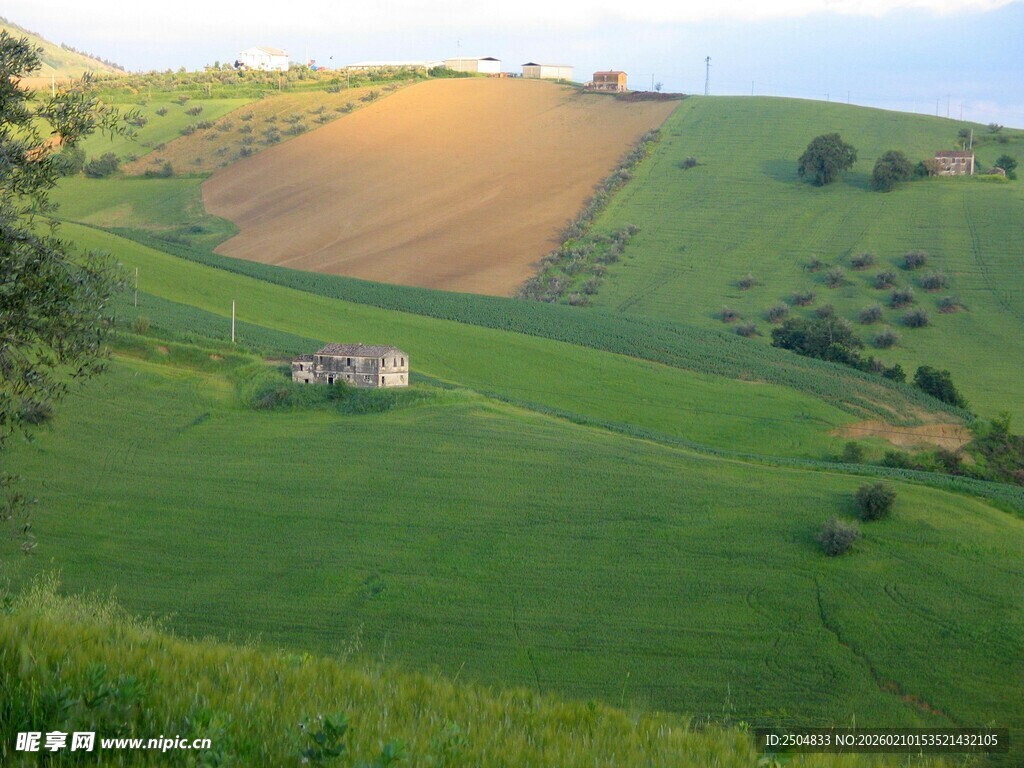 田园绿野中的静谧小屋