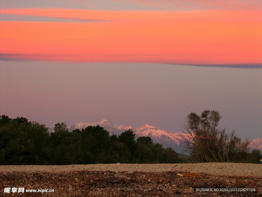 夕阳下的田野与树木景观