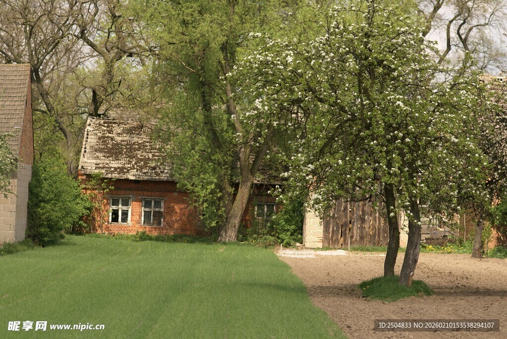 乡村小屋旁的绿意景致