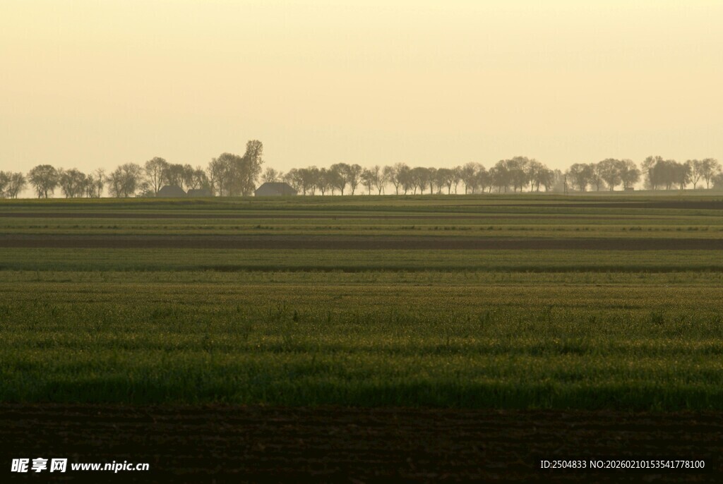 田野黄昏景色