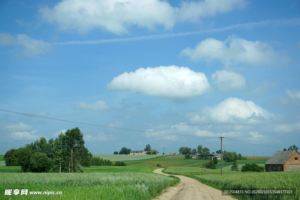 乡村田野间的宁静小路