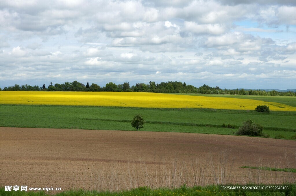 田园风光中的多彩田野