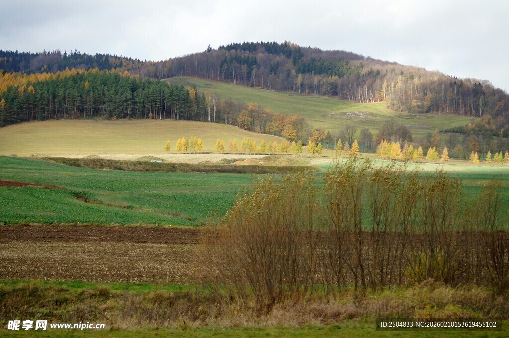 秋日山野田园风光美景