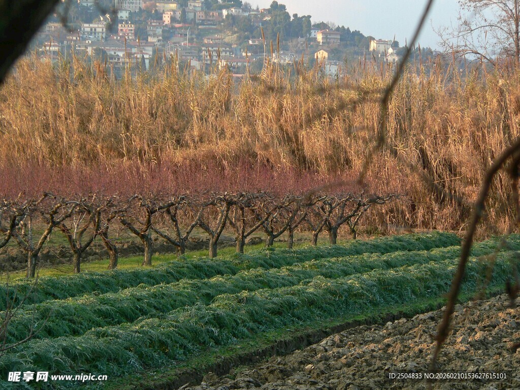 秋日田园风光美景