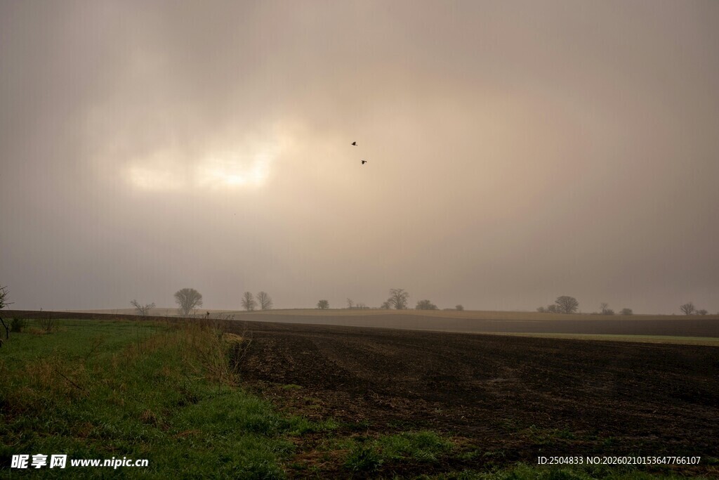 田野上空的 沉天色