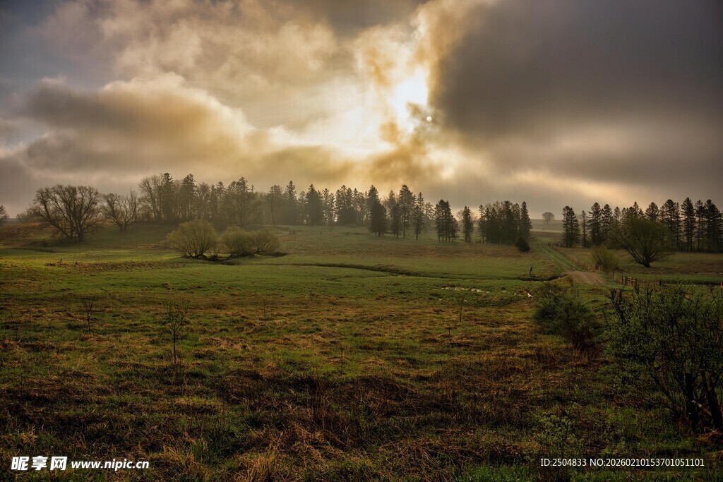 日出时分的田野风光